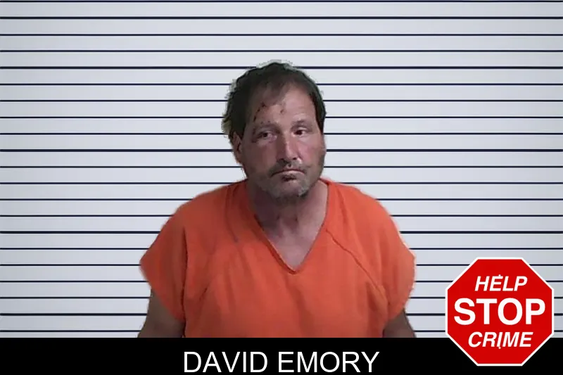 David Emory mugshot – Fannin County , Georgia David Emory mugshot