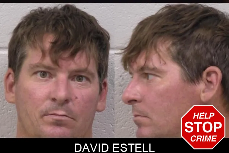 David Estell mugshot – Paulding County , Georgia David Estell mugshot
