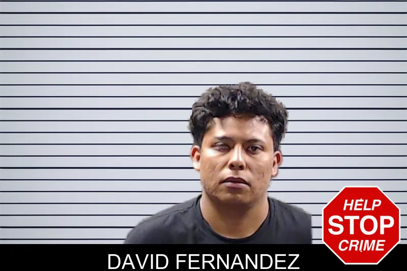 David Fernandez mugshot – DeKalb County , Georgia David Fernandez mugshot