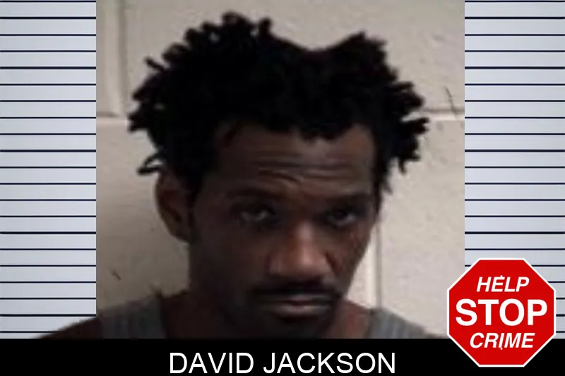 David Jackson mugshot – Henry County , Georgia David Jackson mugshot