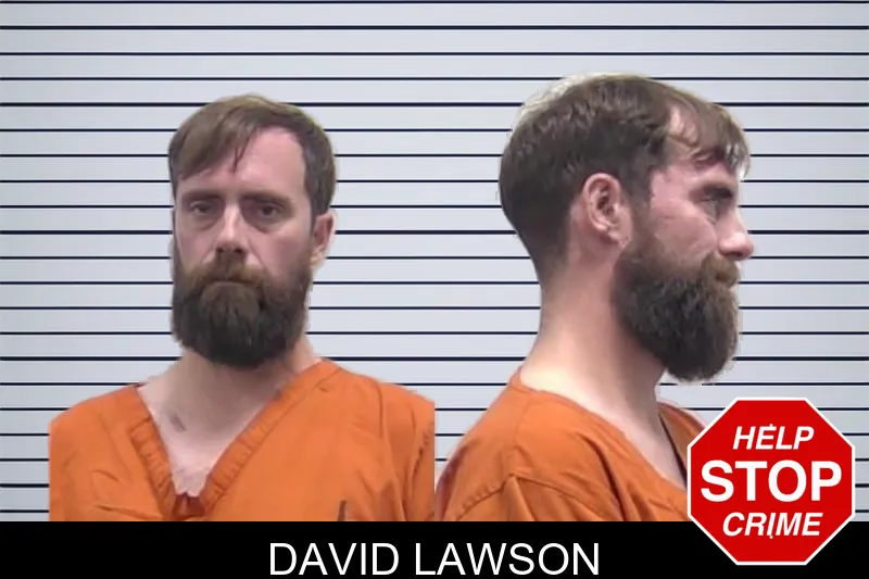 David Lawson mugshot – Clarke County , Georgia David Lawson mugshot