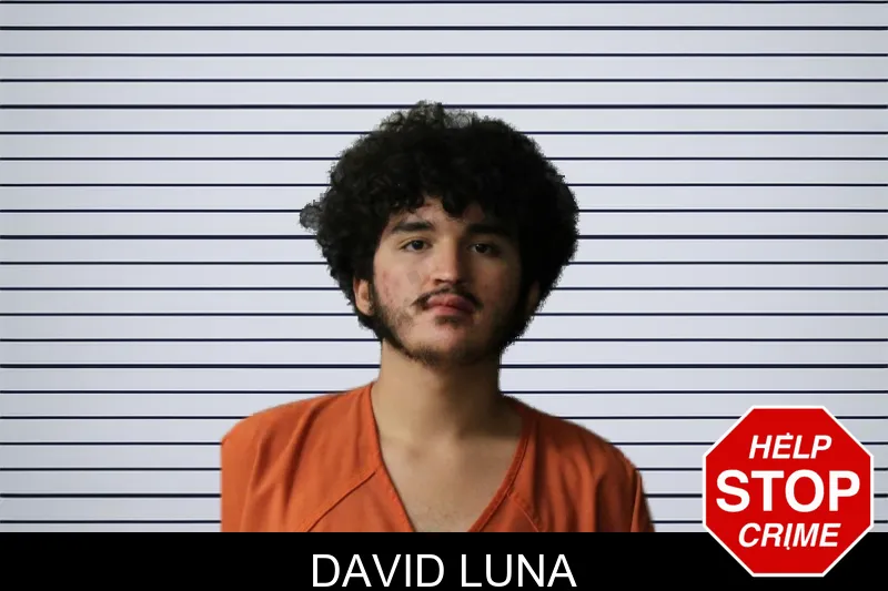 David Luna mugshot