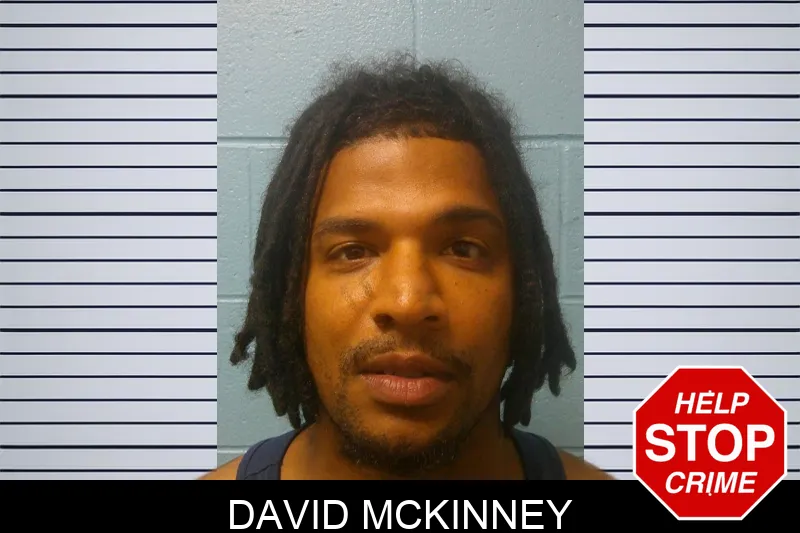 David McKinney mugshot – Franklin County , Georgia David McKinney mugshot