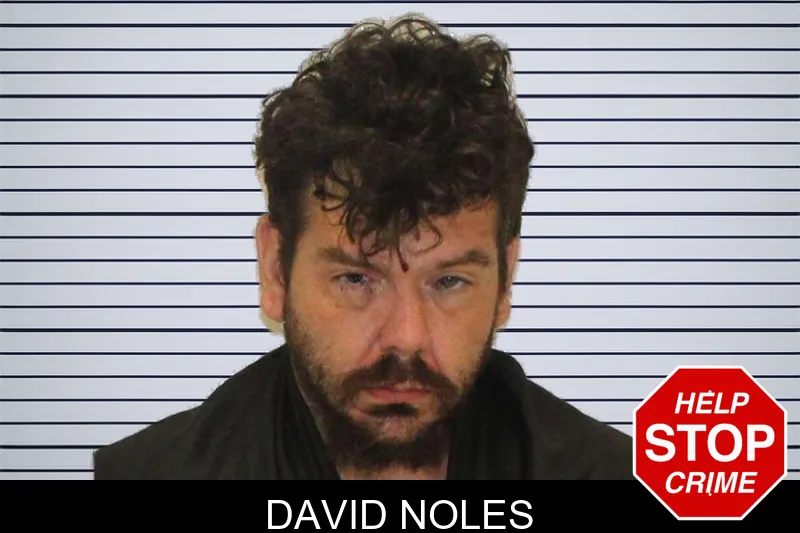 David Noles mugshot – Carroll County , Georgia David Noles mugshot