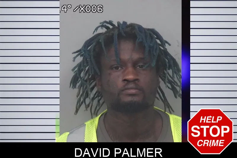 David Palmer mugshot