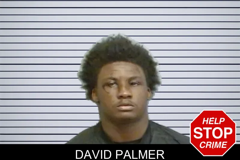David Palmer mugshot