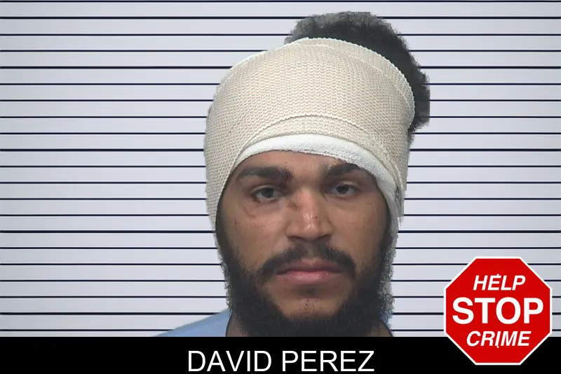 David Perez mugshot