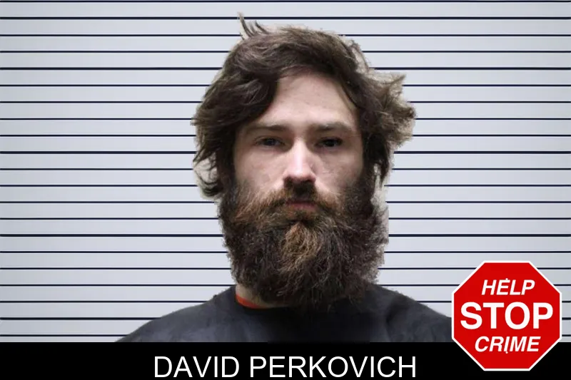 David Perkovich mugshot – Haralson County , Georgia David Perkovich mugshot