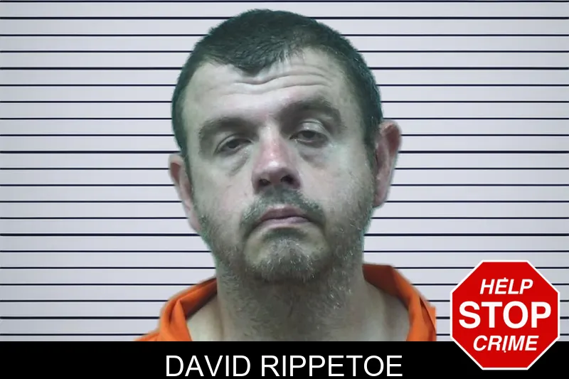 David Rippetoe mugshot