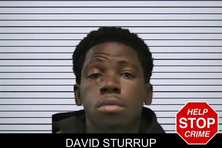 David Sturrup mugshot – Ware County , Georgia David Sturrup