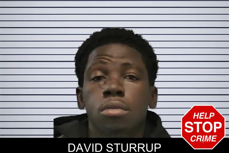 David Sturrup mugshot – Ware County , Georgia David Sturrup mugshot