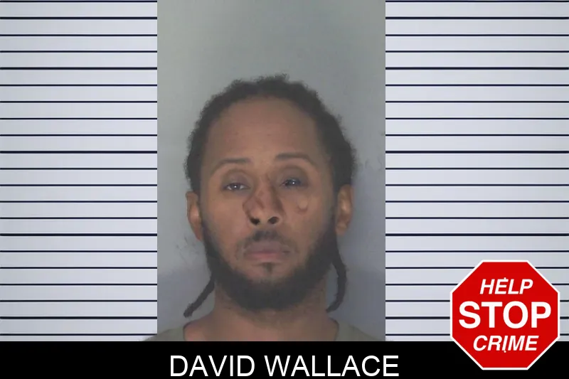 David Wallace mugshot