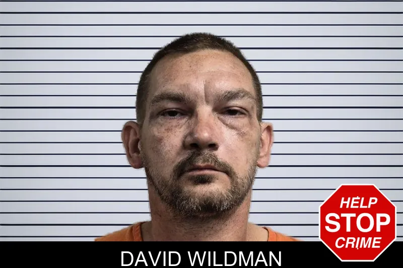 David Wildman mugshot – Dade County , Georgia David Wildman mugshot