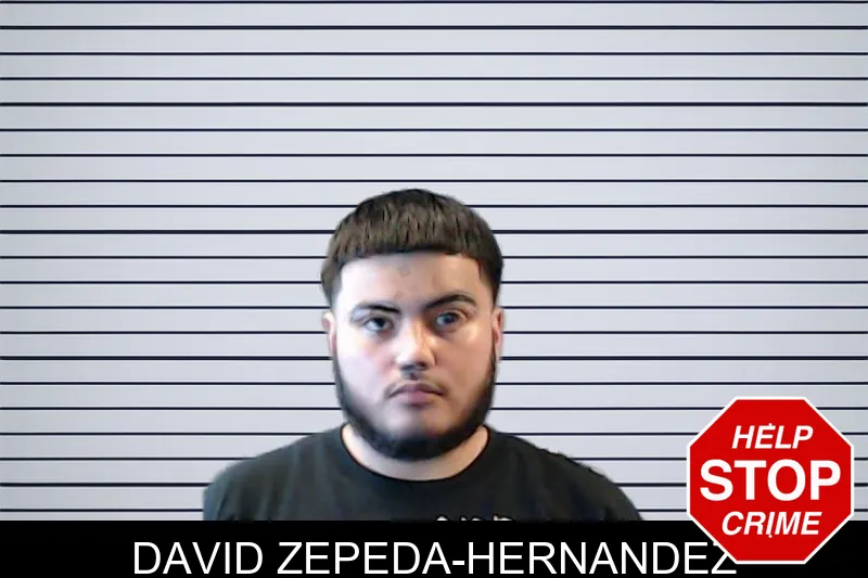 David Zepeda-Hernandez mugshot
