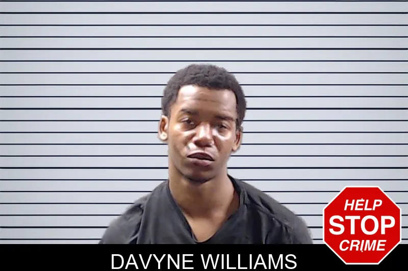 Davyne Williams mugshot – DeKalb County , Georgia Davyne Williams mugshot