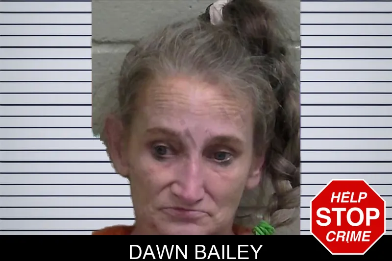 Dawn Bailey mugshot