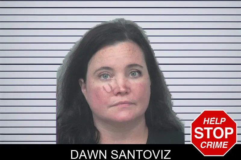 Dawn Santoviz mugshot – Gwinnett County , Georgia Dawn Santoviz mugshot