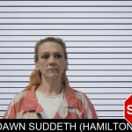 Dawn Suddeth (Hamilton) mugshot – Stephens County , Georgia Dawn Suddeth (Hamilton) mugshot