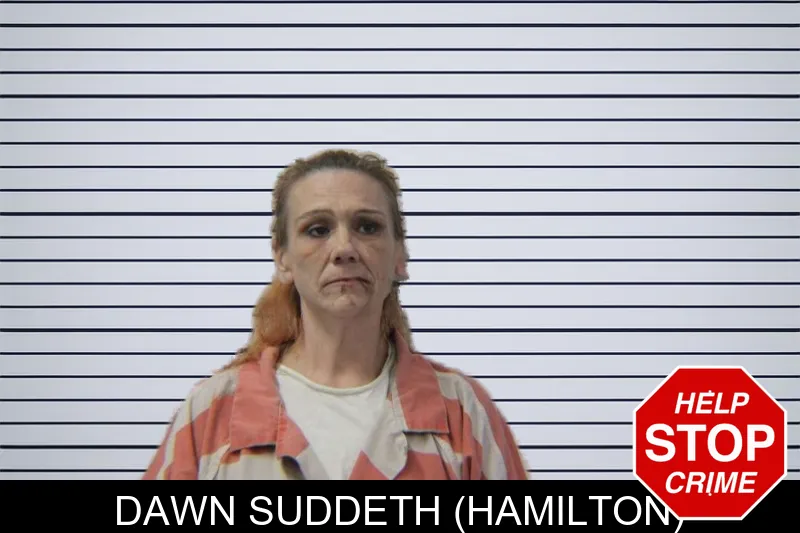 Dawn Suddeth (Hamilton) mugshot – Stephens County , Georgia Dawn Suddeth (Hamilton) mugshot
