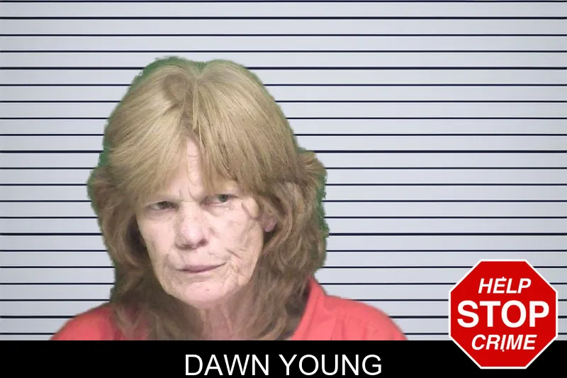 Dawn Young mugshot – Appling County , Georgia Dawn Young mugshot