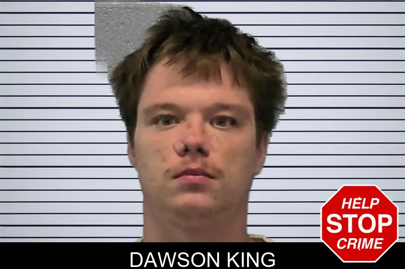 Dawson King mugshot – Ware County , Georgia Dawson King mugshot