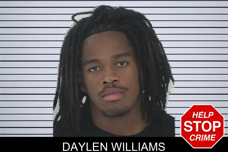 Daylen Williams mugshot – Fayette County , Georgia Daylen Williams mugshot