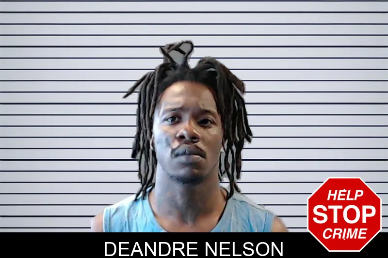 Deandre Nelson mugshot – DeKalb County , Georgia Deandre Nelson mugshot