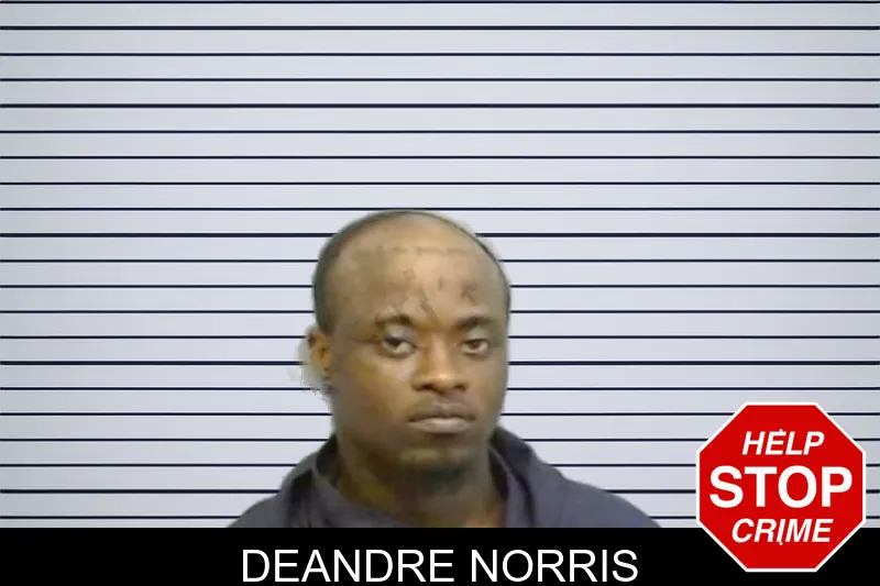 Deandre Norris mugshot – Fulton County , Georgia Deandre Norris mugshot