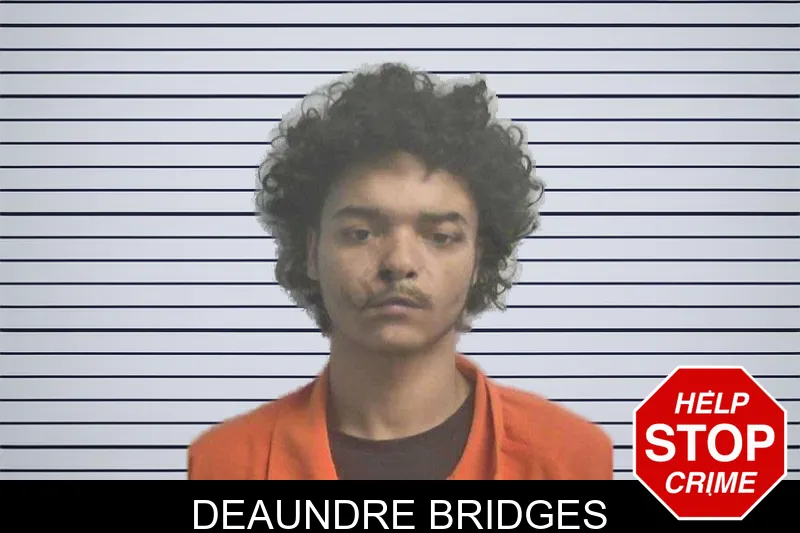 Deaundre Bridges mugshot