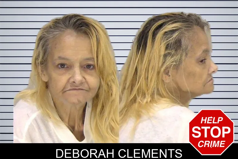 Deborah Clements mugshot