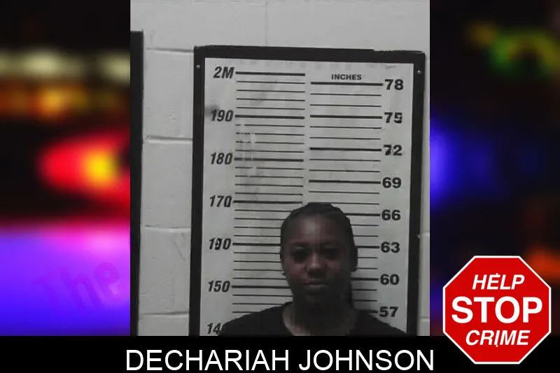 Dechariah Johnson mugshot – Meriwether County , Georgia Dechariah Johnson mugshot