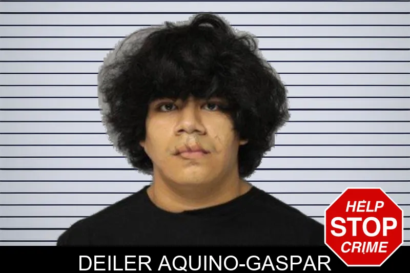 Deiler Aquino-Gaspar mugshot – Hall County , Georgia Deiler Aquino-Gaspar mugshot