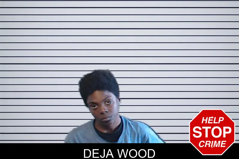 Deja Wood mugshot – DeKalb County , Georgia Deja Wood mugshot