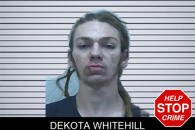 Dekota Whitehill mugshot – Jackson County , Georgia Dekota Whitehill mugshot