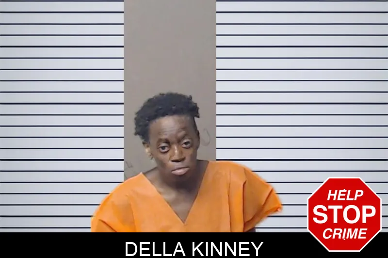 Della Kinney mugshot – DeKalb County , Georgia Della Kinney mugshot