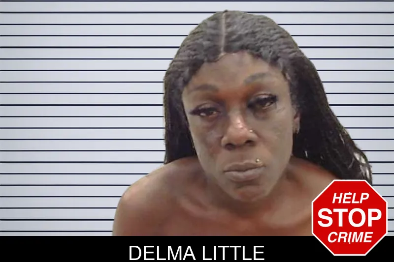 Delma Little mugshot
