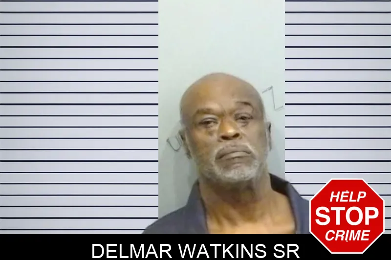 Delmar Watkins Sr mugshot – Fulton County , Georgia Delmar Watkins Sr mugshot