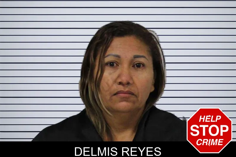 Delmis Reyes mugshot – Carroll County , Georgia Delmis Reyes mugshot