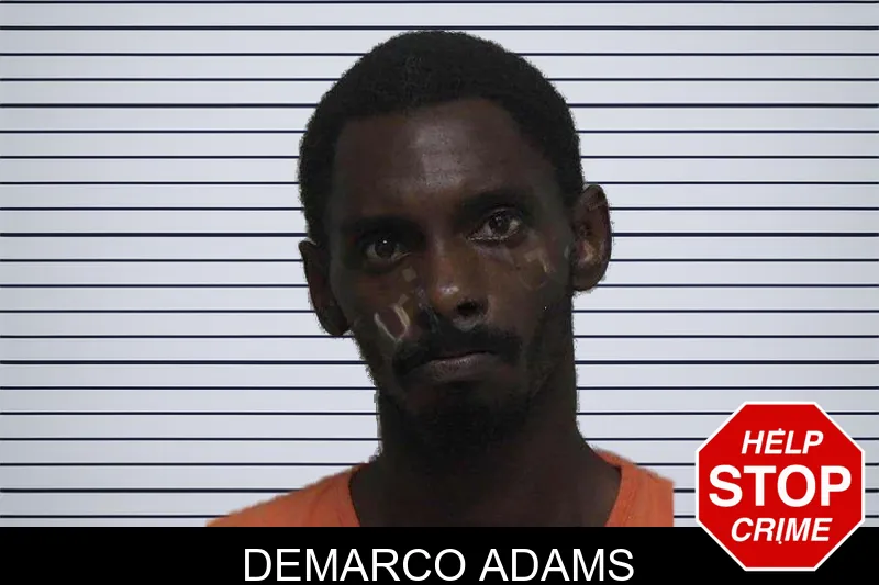 Demarco Adams mugshot – Laurens County , Georgia Demarco Adams mugshot