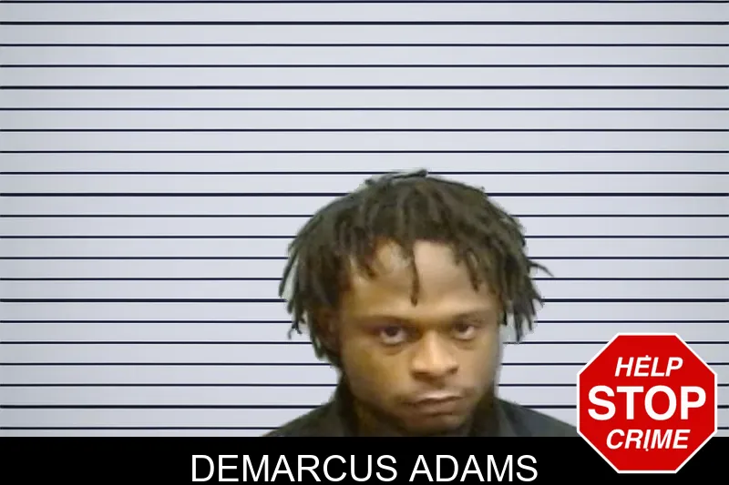 Demarcus Adams mugshot – Fulton County , Georgia Demarcus Adams mugshot