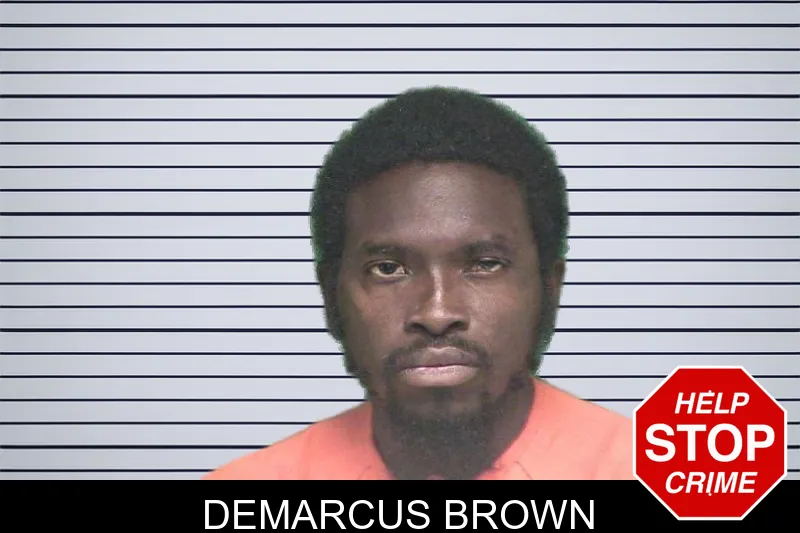 Demarcus Brown mugshot – Appling County , Georgia Demarcus Brown mugshot