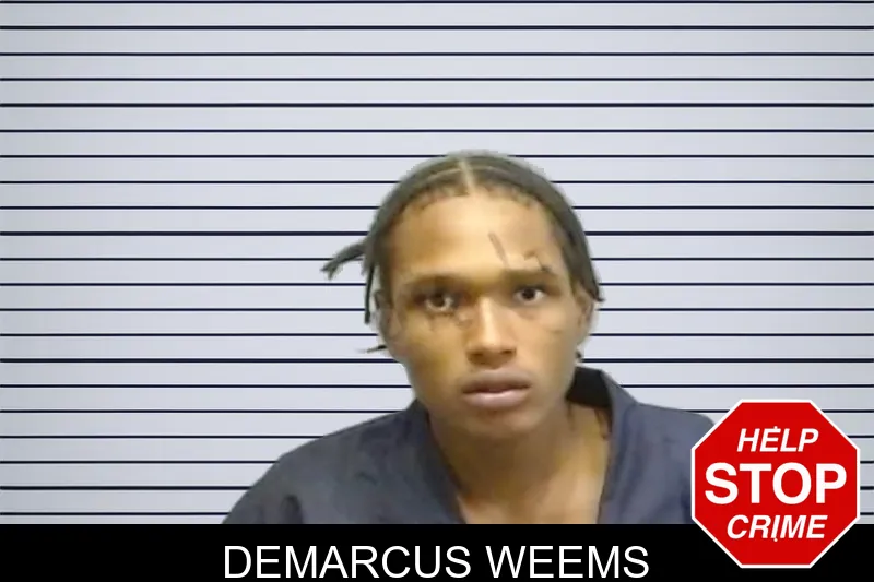 Demarcus Weems mugshot