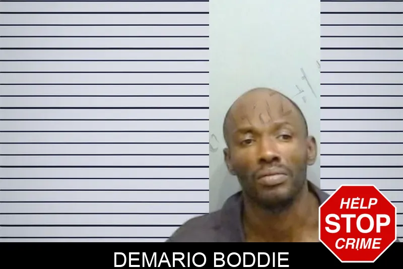 Demario Boddie mugshot