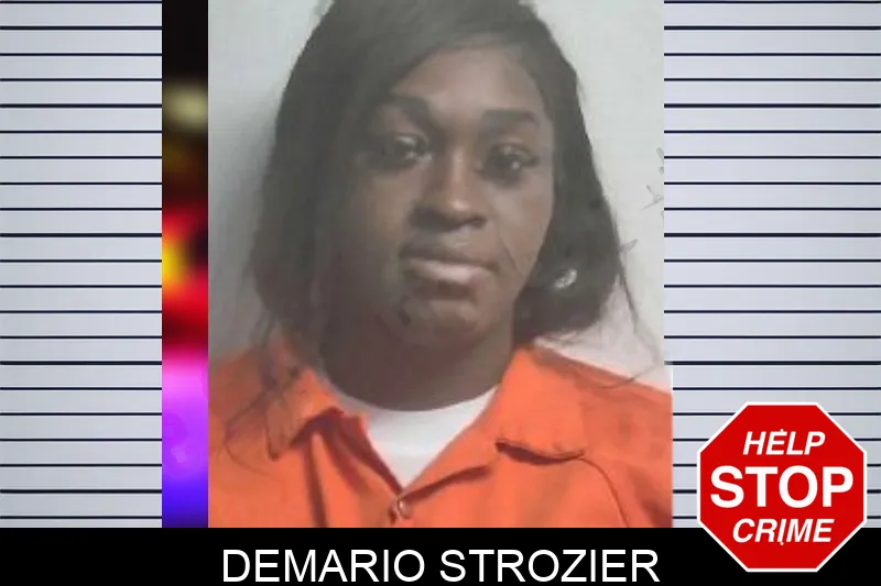Demario Strozier mugshot