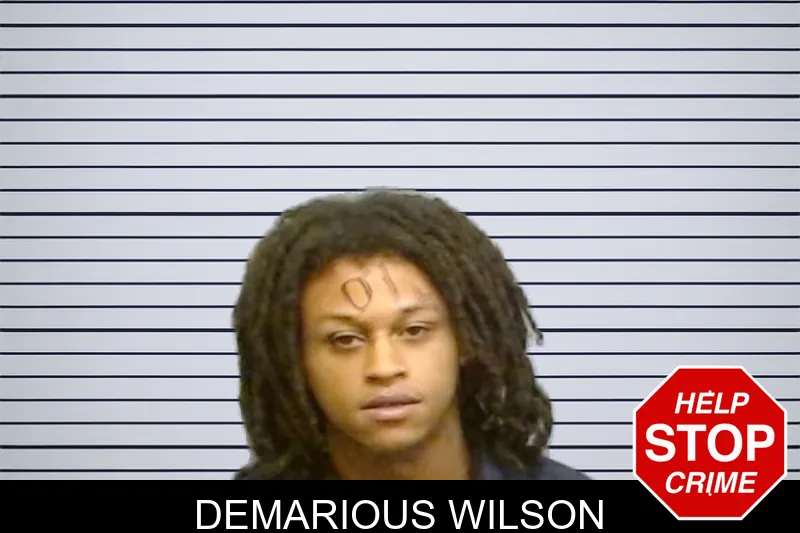 Demarious Wilson mugshot