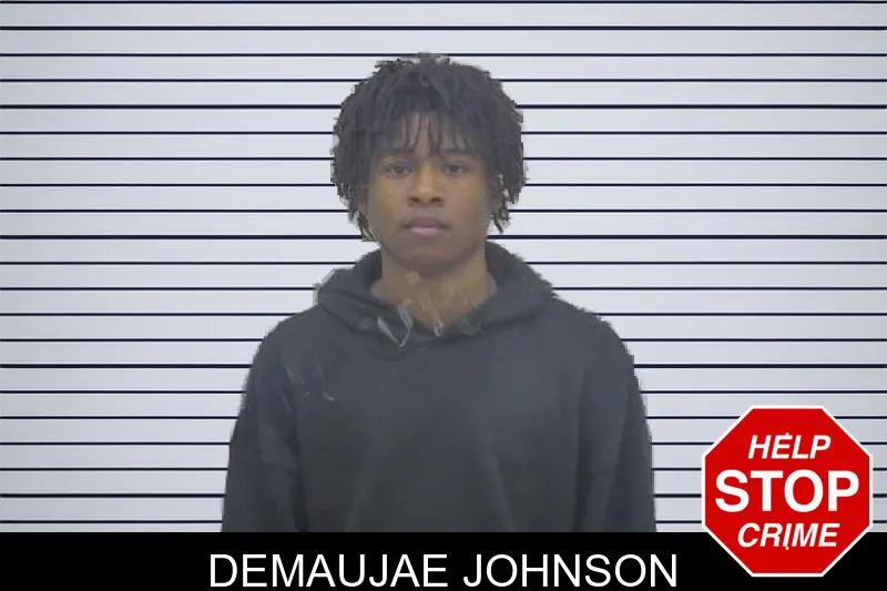 Demaujae Johnson mugshot