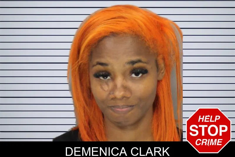 Demenica Clark mugshot – Cobb County , Georgia Demenica Clark mugshot