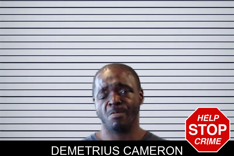Demetrius Cameron mugshot – DeKalb County , Georgia Demetrius Cameron mugshot