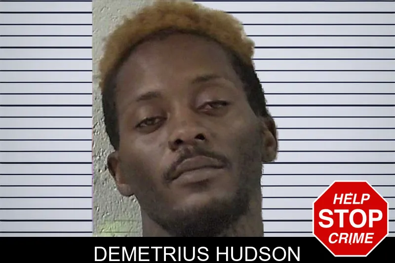 Demetrius Hudson mugshot