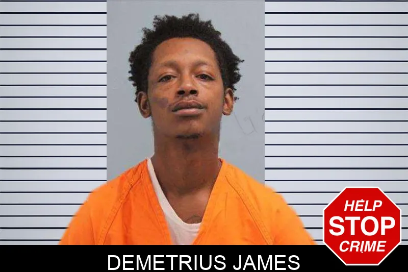 Demetrius James mugshot